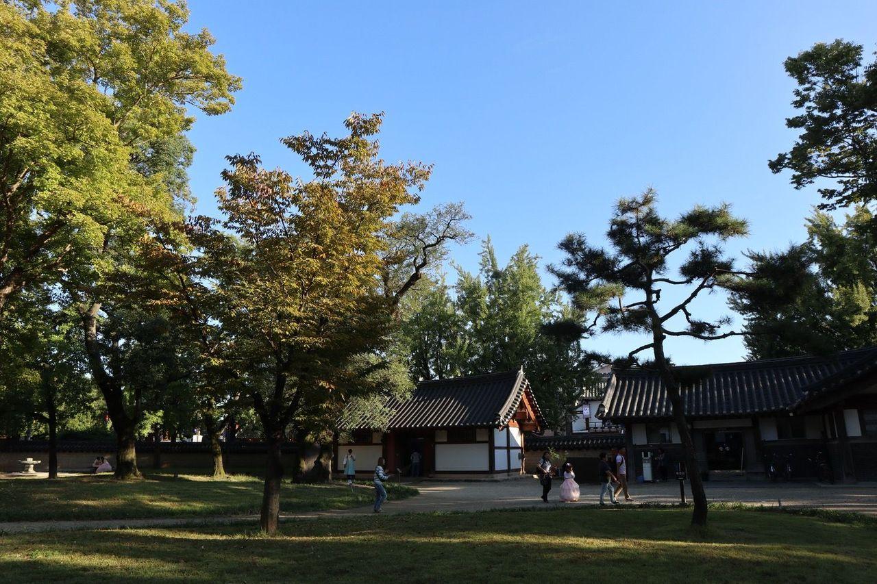 白天的全州庆基殿，四周环绕绿意盎然，宽广的草地上散步的人们无不陶醉在这历史感浓厚的环境中。